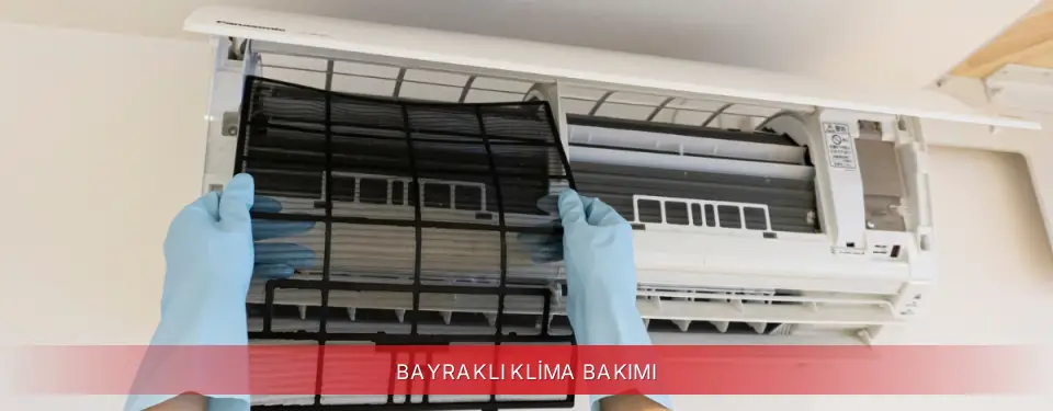 Bayraklı İlçemi Finlux Klima Bakımı