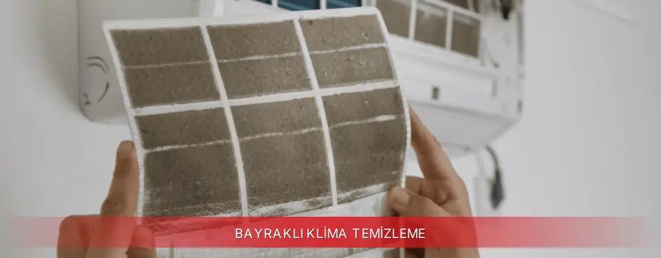 Bayraklı İlçemi Finlux Klima Temizleme